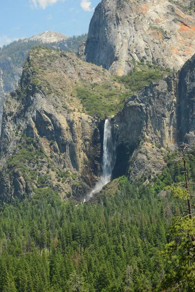 DSC_2362 (Large).JPG